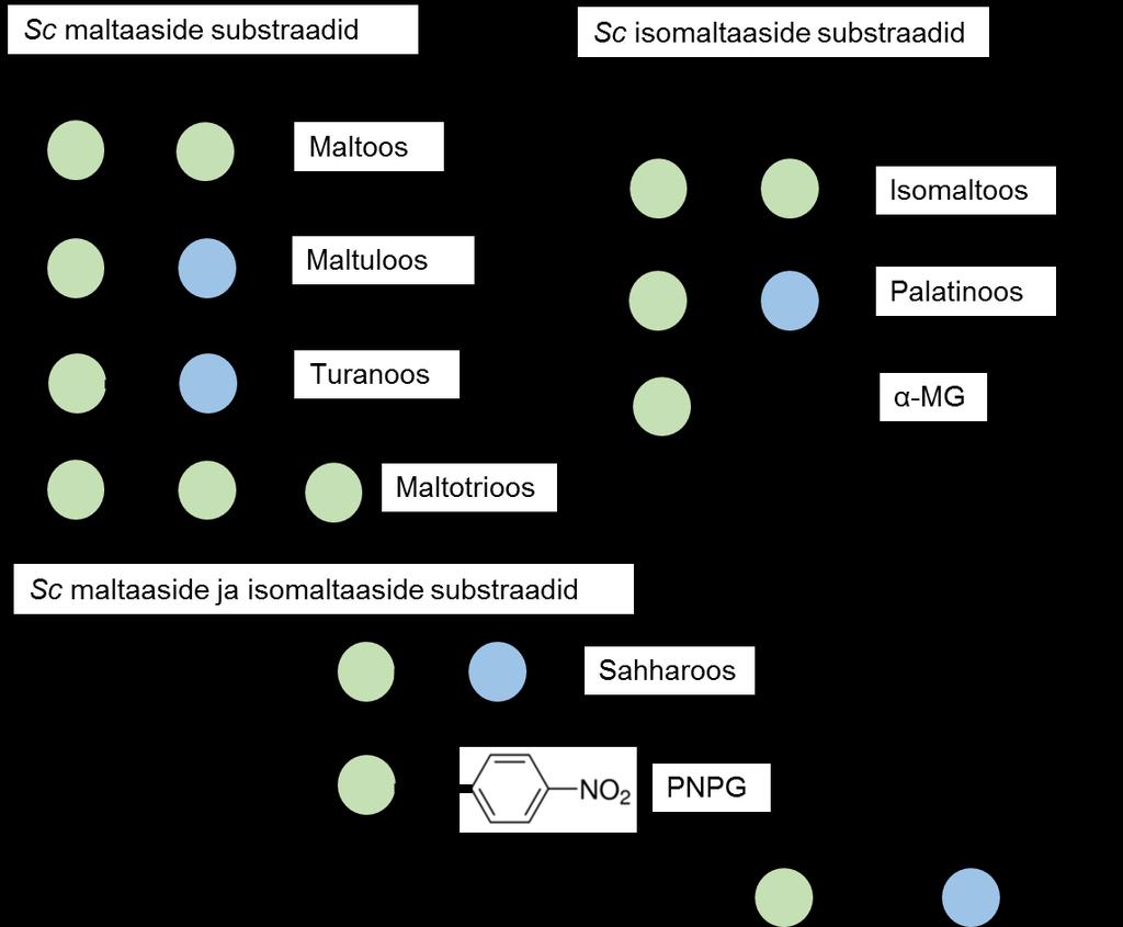 1. Kirjanduse ülevaade 1.1. Maltaasid ja isomaltaasid kui α-glükosidaasid. Pärmide maltaasid ja isomaltaasid ning nende võrdlus bakterite ja inimese vastavate valkudega.