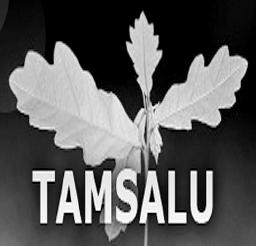 TAMSALU AJALEHT 3 Tam
