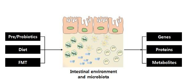 Kas mikrobioota mõjutamisega saab muuta neourodegenratiivsete haigusete kulgu?