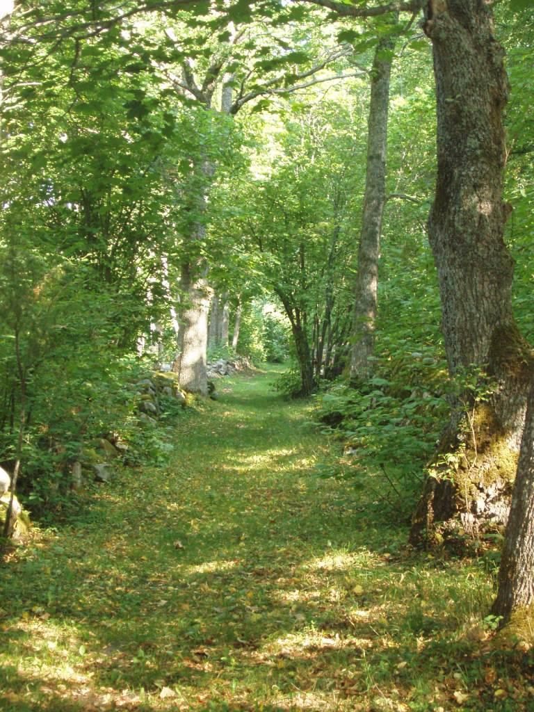 33 Foto 2. Vana külatänav Suuremõisas Nagu mujalgi, oli põhiliseks ehitusmaterjaliks puit (foto 3), kuid Muhu metsavaesusest tingituna kasutati ehitamiseks ka palju kivi.