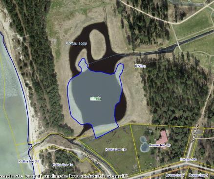 Joonis 4. Planeeringualaga seotud nimetu järve VEE2005410 põhikaardi järgne piir (sinise joonega) ja tegelik olukord (ortofoto).