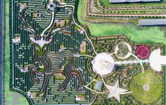 Maailma suurim hekklabürint on on Liblika labürint (ingl ''Butterfly Maze''), mis asub Hiinas Zhejiangi provintsis. See on loodud ''Ningbo Maze Tourism Development Co.'' poolt.