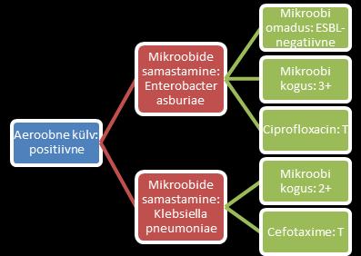 Tugi rekursiivsele andmestruktuurile Rekursiooni astmeid: kuni 3 Näide kolme-tasemelisest mikrobioloogia valdkonna