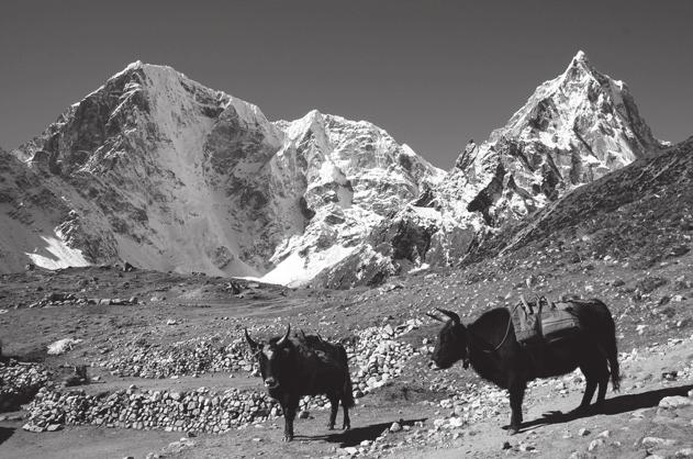 Miks on Tiibetis ja Andides kujunenud väga omapärane