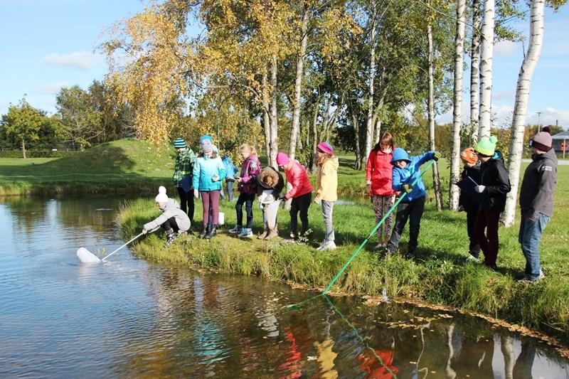 novembril aktiivõppeprogrammi Kalad Tallinna Loomaaia Zookoolis. Programmi käigus õpiti kalade kohastumusi eluks vees. Prooviti määrata kalu ja hinnati nende vanust soomuste järgi.