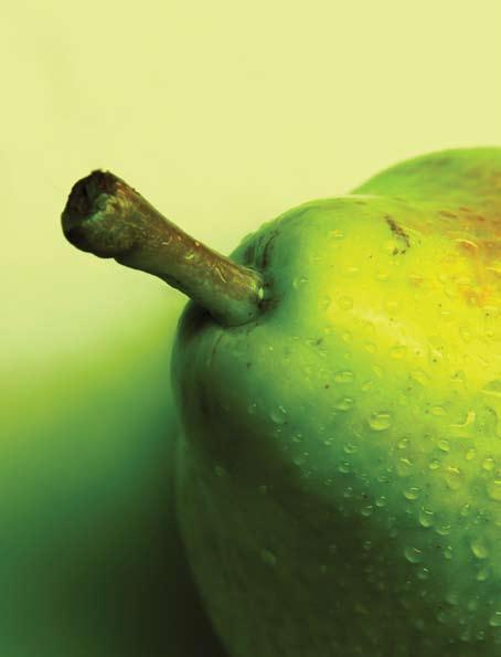 Op zoek naar gezondheidsbevorderende componenten in fruit Tandem VITO-ILVO onderzoekt productvalorisatie in de fruitsector De Vlaamse fruitsector is in Europa al jaren een begrip, vooral onze appelen