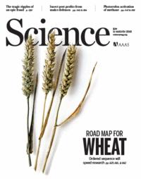 August 2018 nisu genoomi sekveneeritud TheInternational Wheat Genome Sequencing Consortium(IWGSC) published today in the international journalsciencea detailed description of the genome of bread