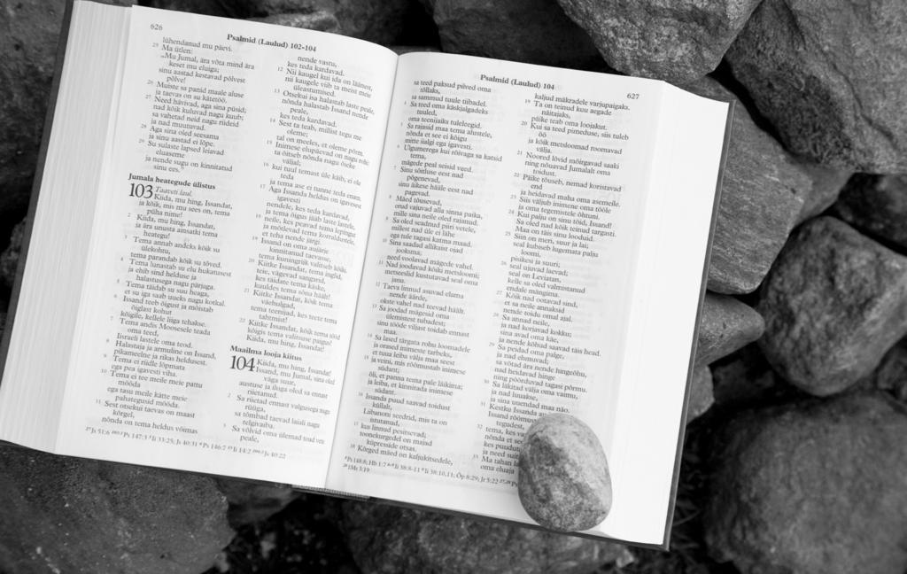LEERITUND 3: MAAILM JA INIMENE (4. OSA) Jaan Lahe Hoopis teisiti kui 1. Moosese raamatu loomislood, kujutab maailma loomist 104. psalm.