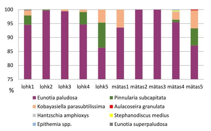 koosluste muutlikkus rabades mikrotopograafiast (Chen et al., 2014; Küttim et al., 2017). Rabale on kõige iseloomulikumad ränivetikaperekonnad Eunotia, Pinnularia ja Frustulia (Cantonati et al.