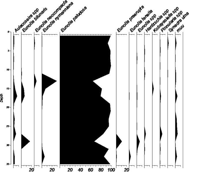 Joonis 2. Hara jääksoo paleoproovide ränivetikate suhteline arvukus (%) uuritud turbakihis Tulemustest selgus, et Hara taastuva jääksoo turbasammalde ränivetikaliikide arv on kesine.