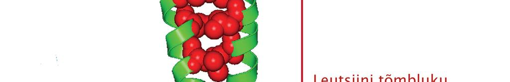 Kujutatud on ka bzip perekonna transkriptsioonifaktorite DNA-ga seondumiseks vajalik magneesiumioon (Mg 2+ ) (Moll jt., 2002).
