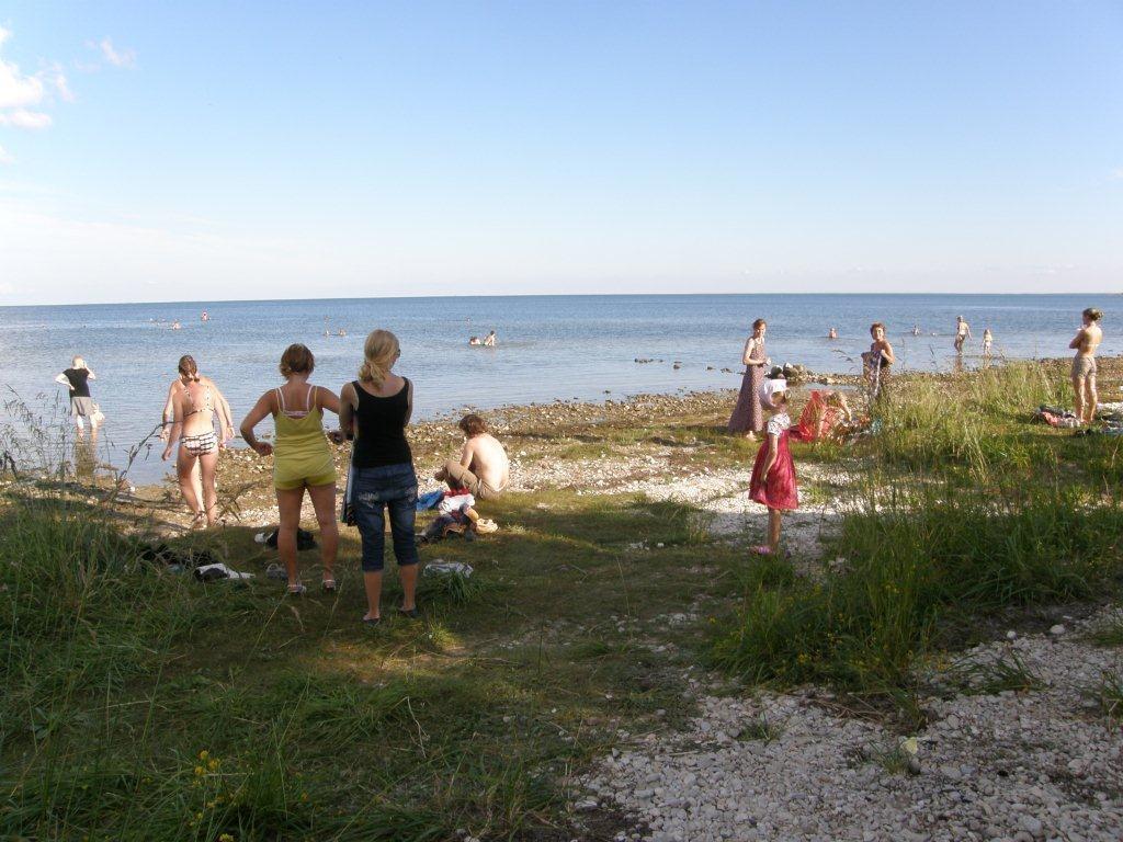 Kassari laht on Hiiumaa linnurikkamaid paiku. Rändeaegadel võib siin korraga näha kümneid tuhandeid uju-ja sukelparte.