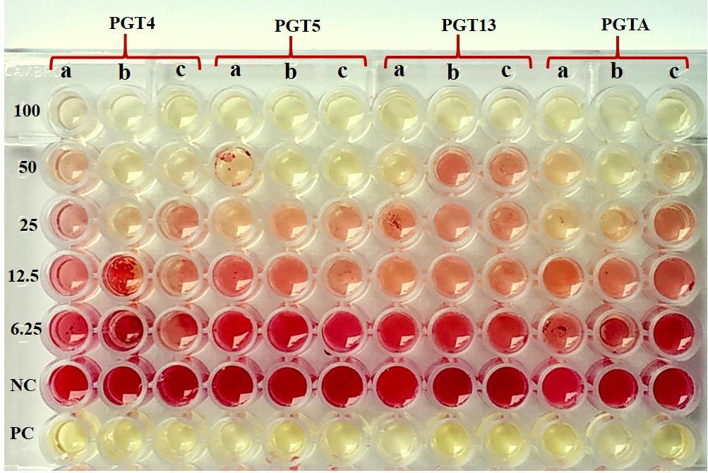 Figure S3: Bacterial sensitivity test of biosynthesized zinc oxide nanoparticles from Trichoderma harzianum (PGT4) (MH429899.