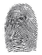 (Ashbourn 2000:45) Biomeetria entsüklopeedia kirjutab, et sõrmejäljeks nimetatakse kuju, mis on jäänud pinnale pärast sõrme papilaarkurrustiku kokkupuudet (Li, Jain 2009).