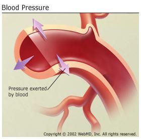 1. Vererõhk Süda pumpab verd kehas ringi, varustamaks kõiki elundeid hapnikuga. Kehas ringlev veri surub veresoontele ning seda jõudu nimetatakse vererõhuks (vaata joonis 2). Joonis 2.