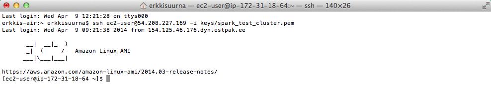 Figure 8. AMI instance console. Preconditions for launching Spark cluster in test instance: private key with read option only to use it on SSH connection to master and slave nodes.