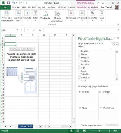 3. Avanenud aknas saad soovikorral täpsustada: a. Andmete asukohta, mida soovid analüüsida. b. Vaikimisi loob Excel liigendtabeli uuele töölehele.