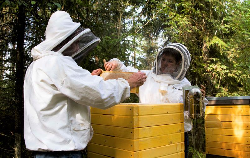 Mahetoetus Mahepõllumajandusliku mesindusega tegelejal on võimalik taotleda Eesti maaelu arengukava 2014 2020 raames makstavat mahepõllumajanduse toetust.