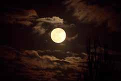 Öösel paistavad taevas Kuu ja tähed.