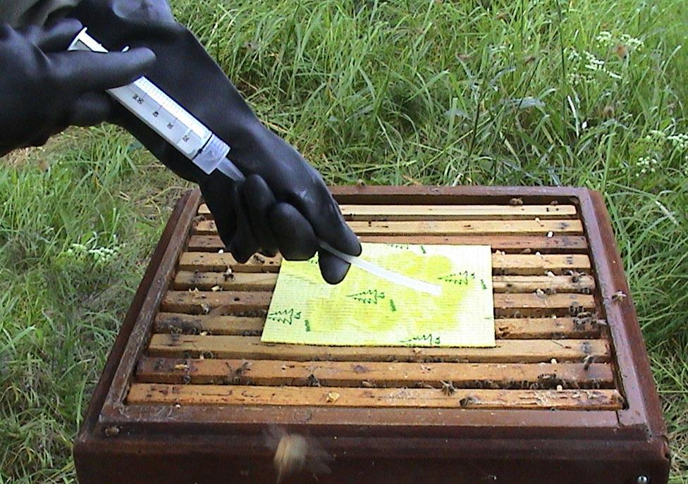 Mesilaspere ravimine Mesilaste nakkushaiguste tõrjeks tuleks kasutatakse enamasti mesindustehnilisi võtteid ja