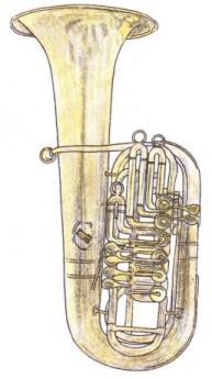 Tuuba on sümfooniaorkestri vaskpuhkpillide rühma neljas, kõige suurem ja kõige madalamahäälsem liige. Tuubaga nagu kontrafagotigagi saab sümfooniaorkestris kuuldavale tuua kõige madalamaid hääli.