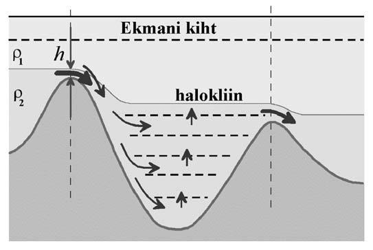 Joonis 3. Seotud süvabasseinide veevahetuse skeem. Figure 3. A scheme of water exchange in deep connected basins. stratifikatsioonist.