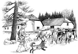 1858. aastal loeti Sagadi mõisa alla kuuluvaid maa-hajatalusid Oandul kolm peret (seal elasid mölder, müürsepp ja karjane). Samal ajal oli Tepelväljal 2 talu, Eskul aga 4. (Tarvel 198