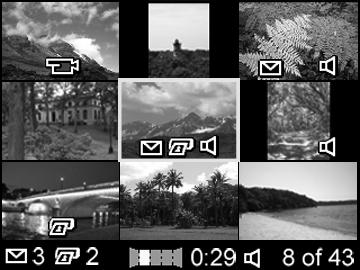 Pisipiltide vaatamine MÄRKUS: Thumbnail pisipildivaates esitatakse iga panoraami moodustav pilt vaatamiseks eraldi. Terve panoraami pildijärjestuse vaatamiseks vt Panoraami eelvaade lk 73.
