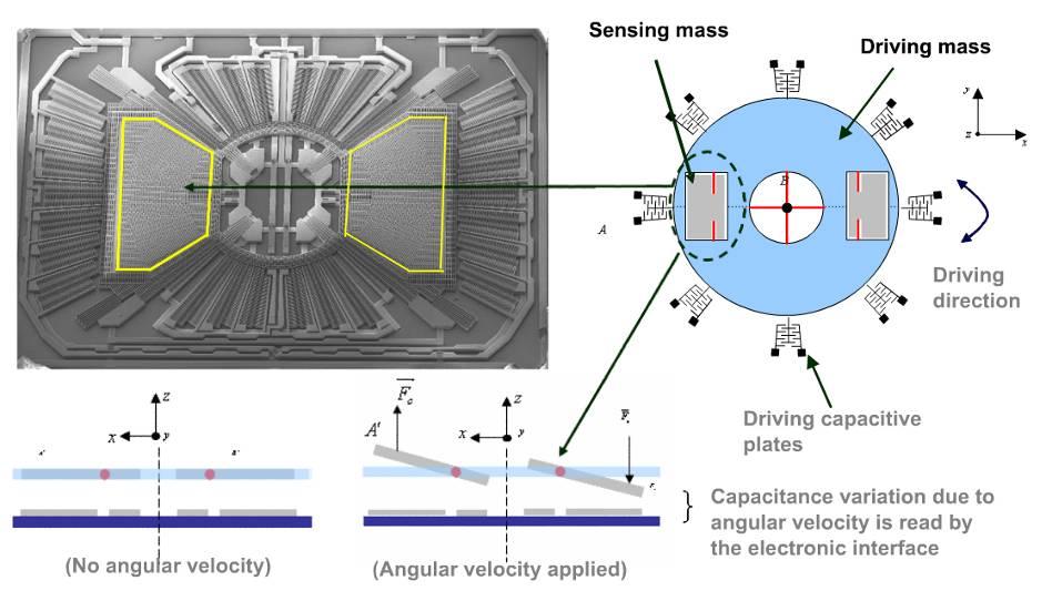 Küroskoop-sensorid Tundlik keha Liikuv süsteem Süsteemi liikumise suund (nurk-kiirus = 0) (nurk-kiirus rakendatud)
