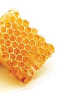 + harmooniline elu mesilastooted puhas kuld Mett korjavad mesilased on tõeline loodusime.