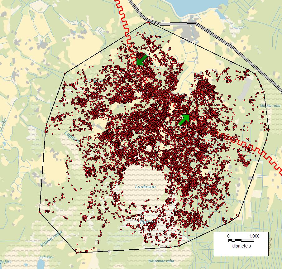 Lisa 1. Kaelustatud isendite kodupiirkonnad Joonis 1. Flegmari asukohapunktid ning kodupiirkond ajavahemikus 04.03.2017-25.11.2018, MCP 100%: 61,52 km².