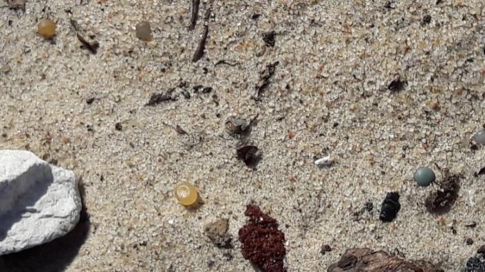 Teistest randadest, kus käesolevaks hetkeks on proovid kogutud, sarnaseid plastosakesi ei ole leitud. Foto 2. Plastpelletid Stroomi supelrannas (Foto: I. Lips, 07.08.208). 3.