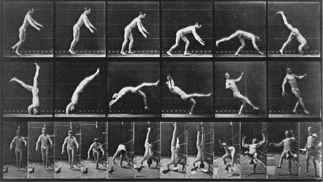 Muybridge jagas Marey huvi liikumise ja kirge fotografeerimise vastu, aga erinevalt Mareyst puudus Muybridge il teaduslik metodoloogia.