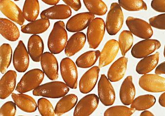 Seemned võivad mullas säilitada eluvõime kuni 10 (vahel isegi 30) aastat.