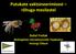 Trans-generational immune priming in insects: Vitellogenin and honey bees