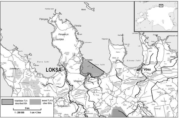 Eru laht Eru Bay 053 (LV03) A4i, B1i 59 35 N 25 49 E 877 ha Ala kirjeldus. Muudatus piirides võrreldes IBA2000-ga: täielikumate andmete põhjal valitud uus TLA. Põhja-Eestis Pärispea ps. ja Käsmu ps.