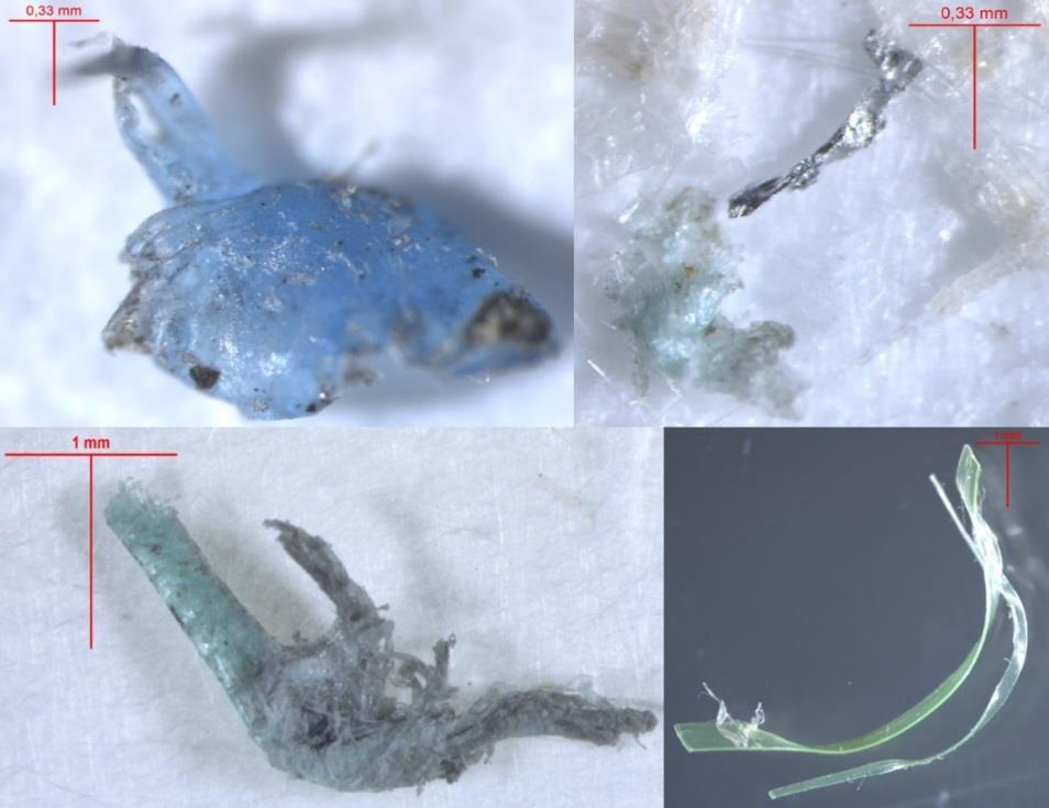 Foto 2. Mikroprügi pilootseire raames jaama 2 piirkonnast leitud mikroplastiku tükid 2016. aastal.