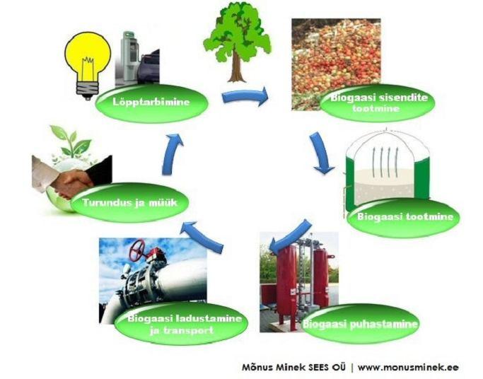 Käesolevas töös eelnevalt toodud võimalustest käsitletud biomassi kasutamist soojus- ja elektrienergia tootmisel. Alljärgnevalt on antud täpsem ülevaade biogaasi tootmise väärtusahelast (joonis 2.7).