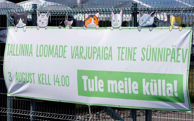 Avalikud mänguväljakud 2018. aastal valmis kaheteistkümnes peremänguväljak Tallinnas Lillepi pargis (Pirita tee 110).