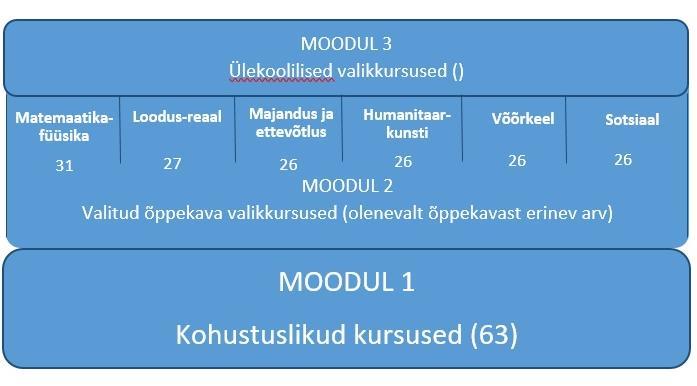 Viljandi Gümnaasiumi valikkursuste kavad on toodud kooli õppekava LISAS 1.