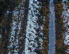 Kui Eestis soovitakse aastas ligikaudu kümme miljonit tihumeetrit metsa raiuda, siis alternatiivi harvesteridele pole.