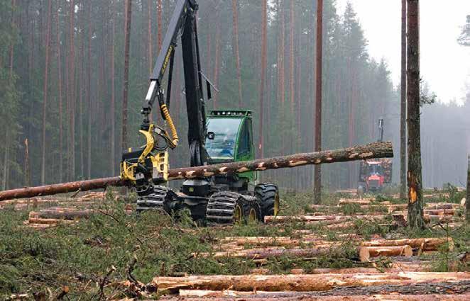 Foto: Jüri Pere Lageraie Viru-Tammiku metsandikus John Deerega 2008. aastal. Harvesteri jälgedes sõidab forvarder, mil on tegelikult oht metsaalust rohkem lõhkuda kui langetustraktoril.