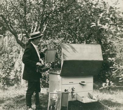 Tartumaa mesinik 1911 F: Johannes