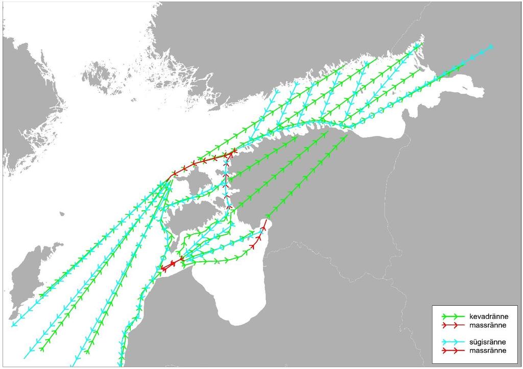 Lindude ränne mere kohal Eestist läbirändavad linnud võib tinglikult jagada erinevateks gruppideks: 1. Arktilised veelinnud.