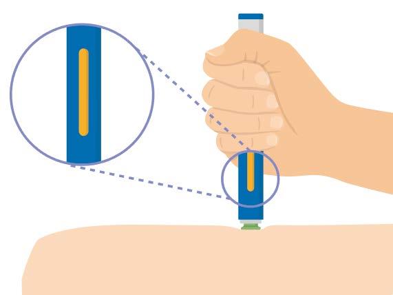 Jätkake hoidmist Hoidke pen-süstlit vastu nahka, kuni kollane indikaator täidab ravimiakna ja peatub.