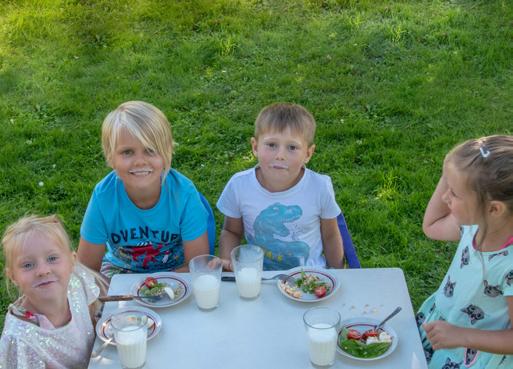 Laste toiduteadlikkuse ja söömisharjumuste kujundamine Õpetajaraamat lasteaedadele II osa Toidugrupid:
