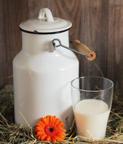 5+ TUTVUME PIIMAGA Vahendid: joogitopsikud, piim, pildid (lehmad, kitsed jne), vesi klaasis.