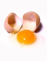 4+ UURIME MUNA Vahendid: kanamunad, luup, nuga. 1 Vaadelge ja uurige mune ning paluge lastel kirjeldada, mida nad kuulevad, kui loksutada toorest muna 1 Keerutage toorest muna laual (lk 217).