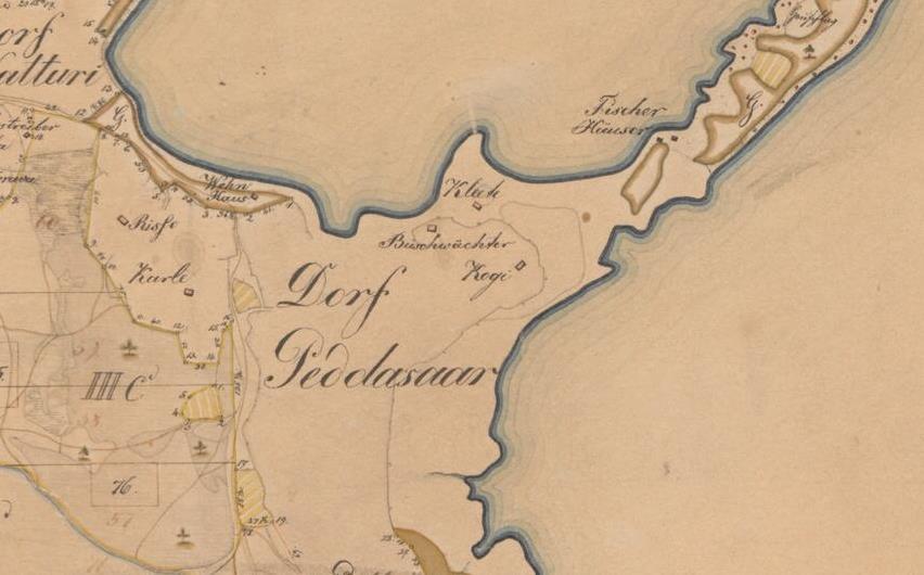 Joonis 19. Pedassaare Sagadi mõisakaardil, 1805. Kaardil on Risso ja Kaarle talud, nahaparkali maja ( Wehn-Haus ), metsavahimaja ning väikesed kalurimajad metsa ääres. 9.2.