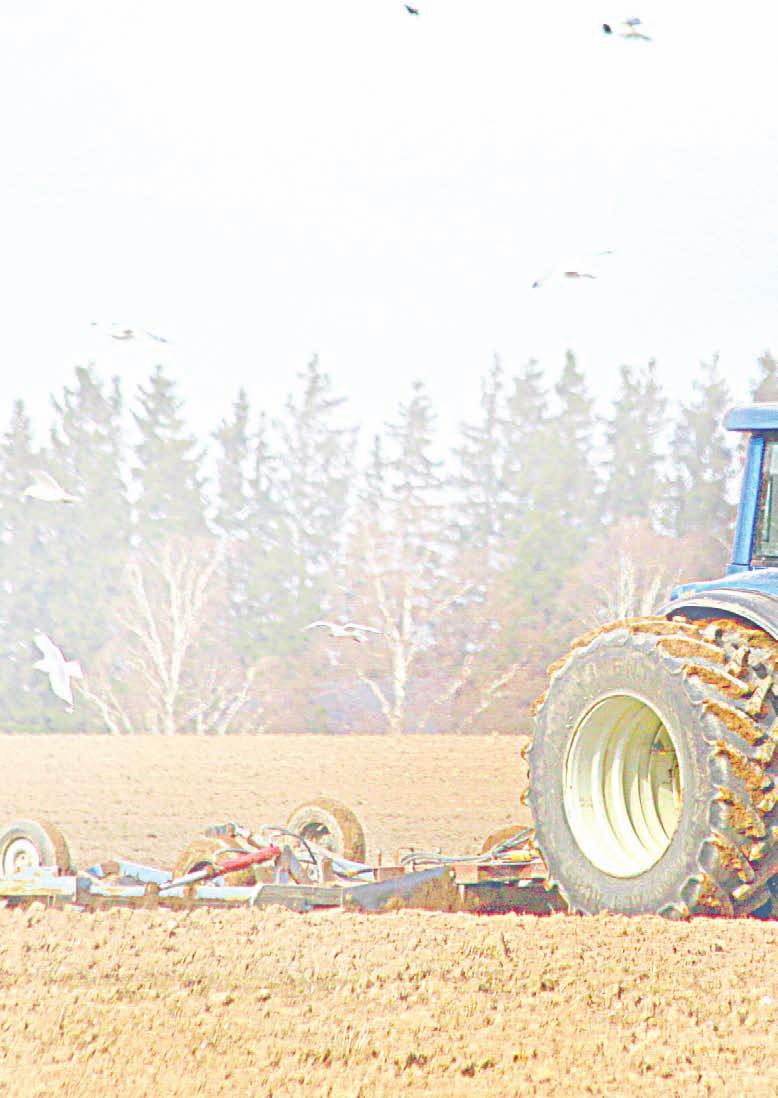 Milline on Eesti traktoripark? ÜLO TRAAT EMÜ tehnikadoktor Põllumajandusettevõtte edukus sõltub paljuski masinapargi tootlikkusest.